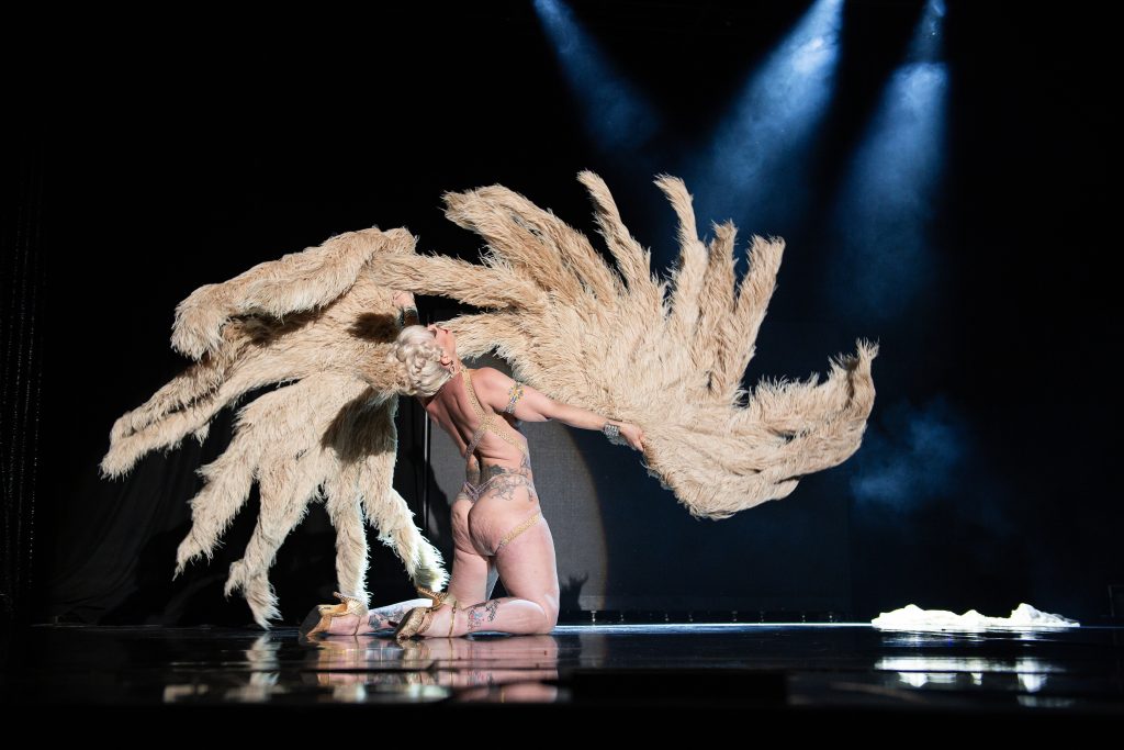 Peekaboo Pointe in the 2026 Tournament of Tease at Burlesque Hall of Fame Weekend, by SH Photografia for 21st Century Burlesque