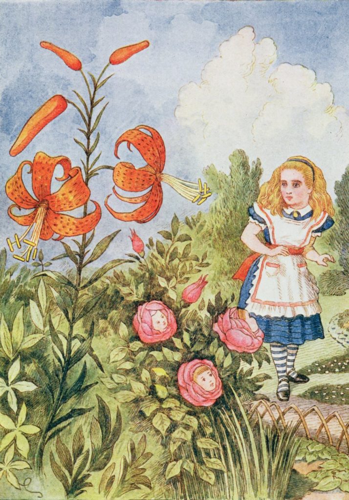 Inspiration: John Tenniel illustration of Alice Through the Looking Glass